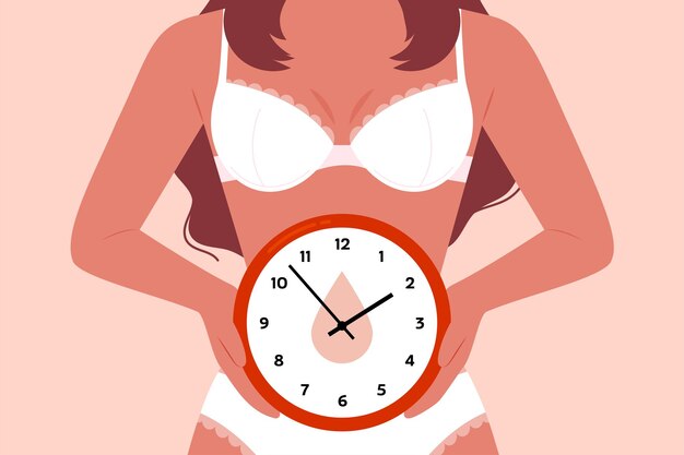 Menstrual cycle illustration concept