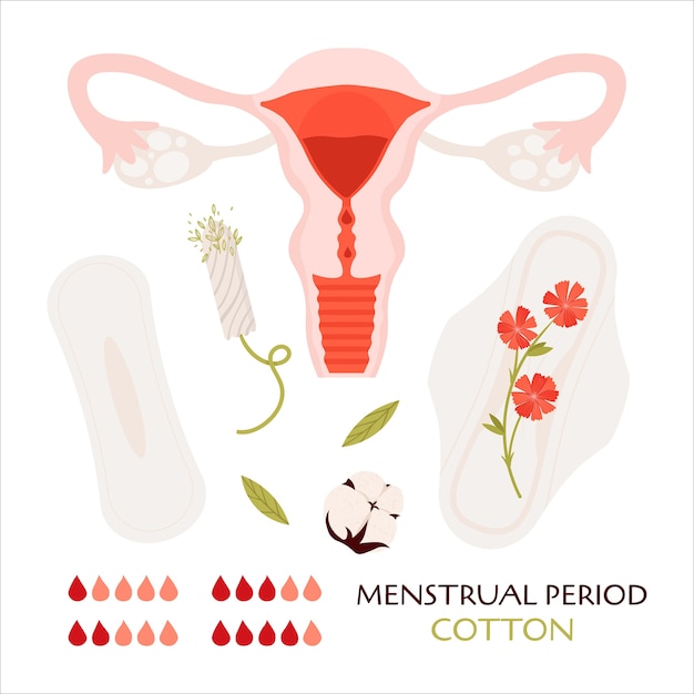 Menstrual period.   flat set with eco friendly products -  cotton menstrual pads and tampon.