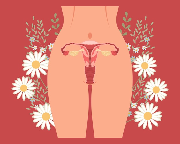 Vector menstrual period landing page template female body woman's groin with flowers woman health