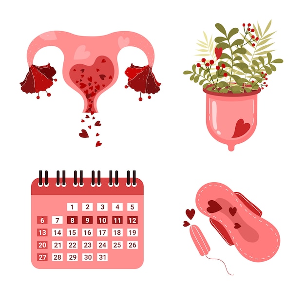 Vector menstruatiecup en baarmoeder en kalender handgetekende stijl