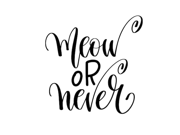 Vector meow or never hand lettering inscription text about animal