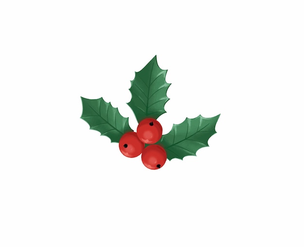 Merry christmas berries vector print. Branches of holly