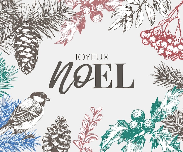 프랑스어로 된 메리 크리스마스 Joyeux Noel 현대 브러시 벡터 서예 흰색 배경에 격리된 손으로 그린 서예 문구 인사말 카드 엽서 포스터 배너에 대한 타이포그래피