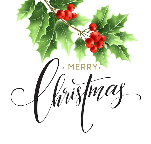 Vector merry christmas lettering card with holly