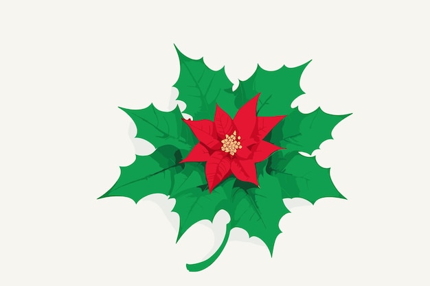 merry christmas red flower with leaves design winter season