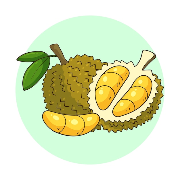 met de hand getekend durian fruit