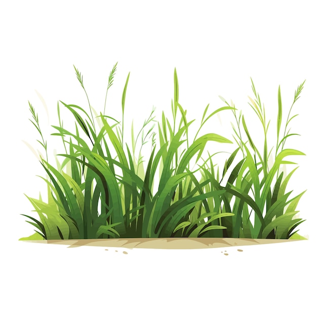 Met de hand getekend Grass cartoon vector illustratie clipart witte achtergrond