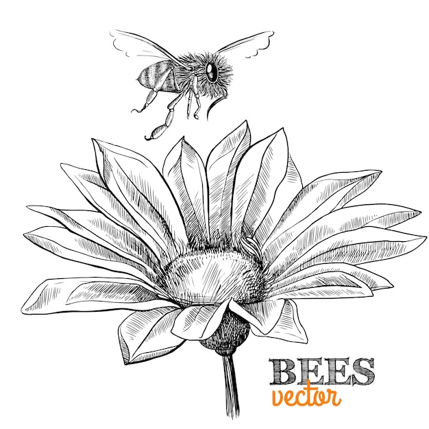 Met de hand getekende achtergrond met bloem en bijen