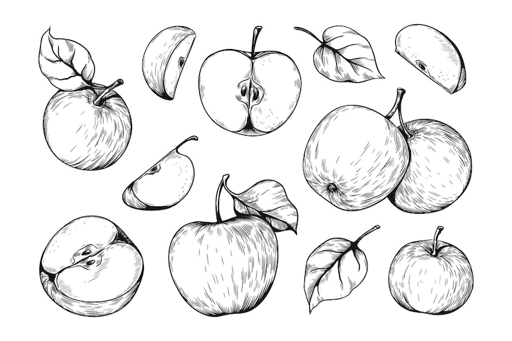 Vector met de hand getekende appels stukken biologisch groentevoedsel hele of halve producten met bladeren en zaden gezonde vitamine vegetarische maaltijd schets geïsoleerde sappige plakjes vector fruit gravure set