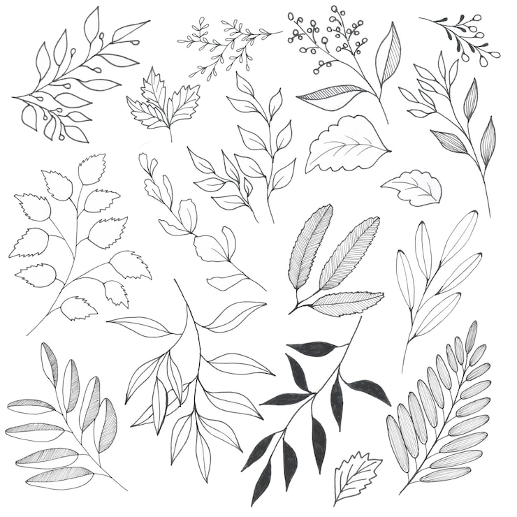 Vector met de hand getekende bloemen
