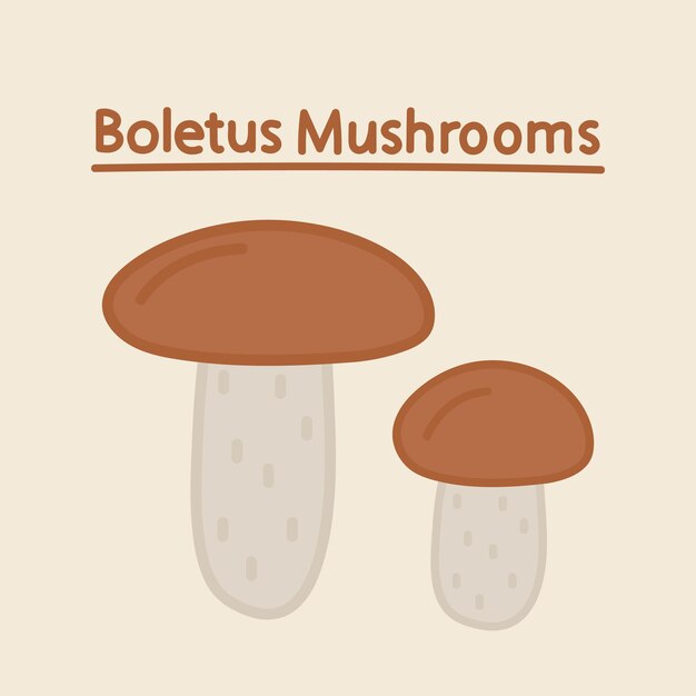 Met de hand getekende boletus paddestoelen. cartoon voedsel ontwerpelement. champignons ingesteld. biologisch voedsel.