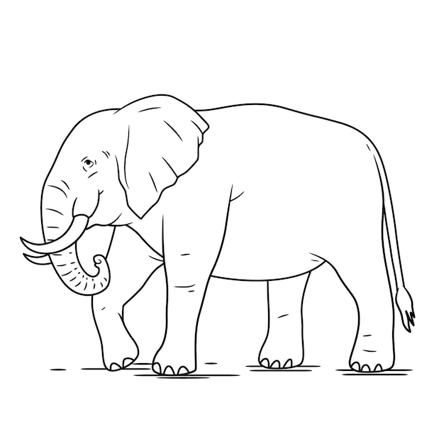 Met de hand getekende contour van een olifant