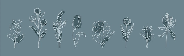 Met de hand getekende florale botanische silhouetten