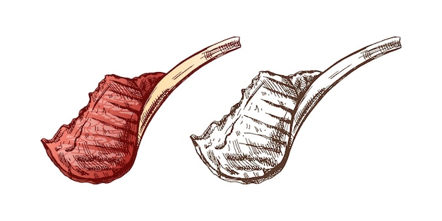 Vector met de hand getekende gekleurde en monochrome vectorschets van een stuk vlees op het bot