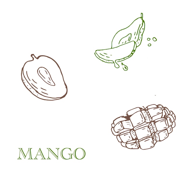 Met de hand getekende Mango-fruit outline banner