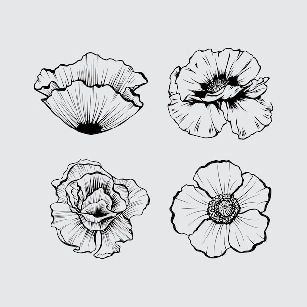 Met de hand getekende papaverbloemen