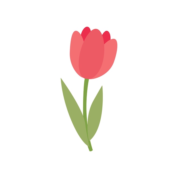 Vector met de hand getekende schattige lente tulp bloem