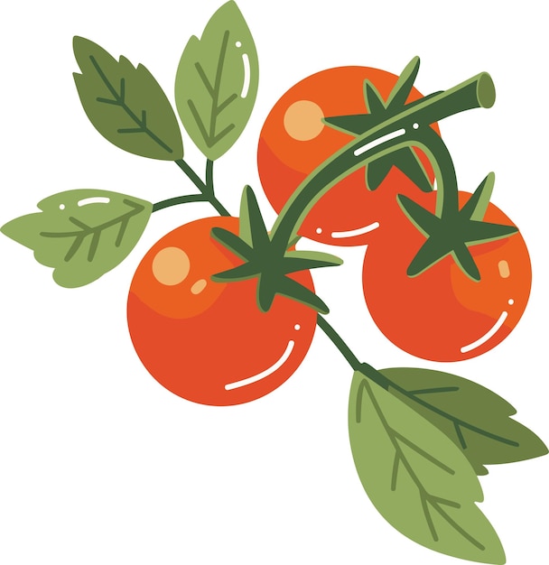 Met de hand getekende tomaten met takken in platte stijl geïsoleerd op de achtergrond