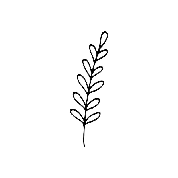 Met één hand getekend blad voor winter- en herfstdecoratie. Doodle vectorillustratie. Geïsoleerd op witte achtergrond