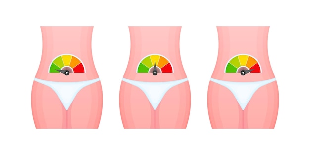 Vector metabolism level scale speedometer indicators metabolism medical