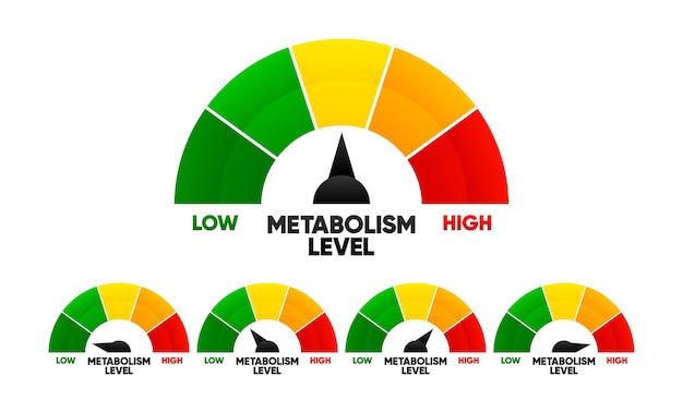 Metabolisme Niveau schaal Controle gezondheidsconcept Gauge geeft het lage en hoge niveau van het metabolisme aan