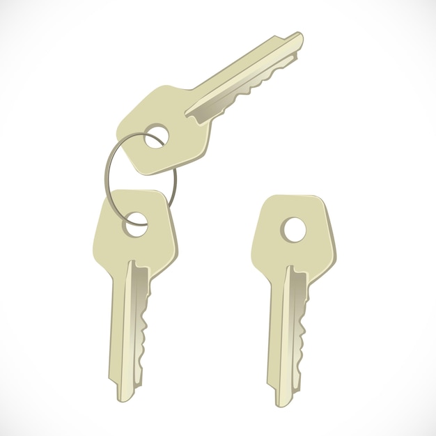 Vector metallic object keys on ring isolated on a white background