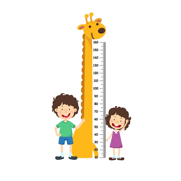 Meter wall with boy and girl. vector illustration