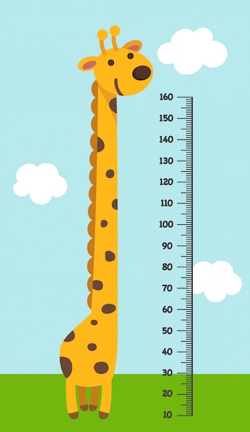 Vector meter wall with giraffe.  illustration.