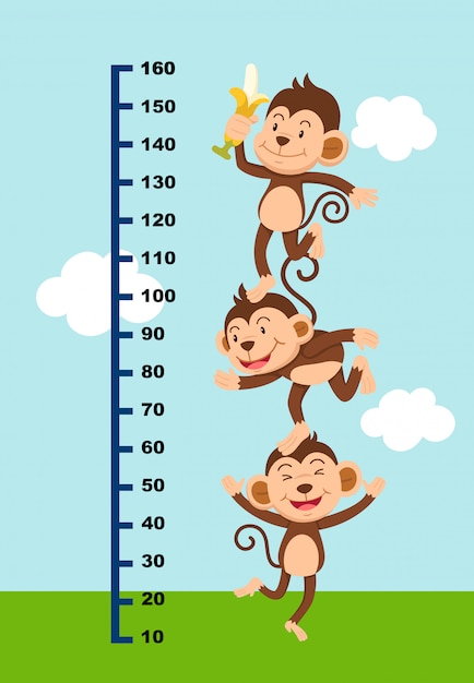 Vector meter wall with monkey. illustration.