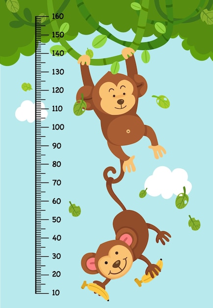 Meter wall with monkey vector illustration