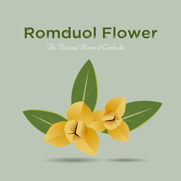 Vector metralla mesnyi romduol flower the national flower of cambodia