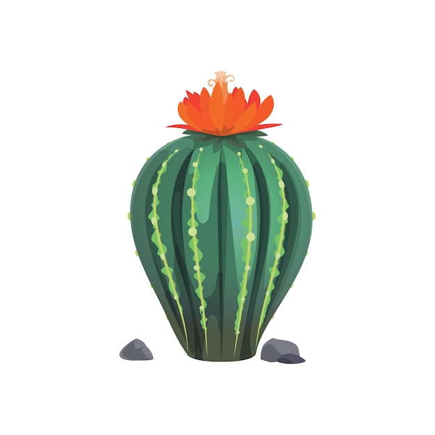 Mexicaanse cactus met roodbloeiende bloemrotsen