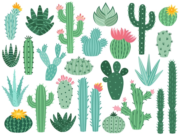 メキシコのサボテンとアロエ。砂漠のとげのある植物、メキシコサボテンの花と熱帯の家の植物分離コレクション