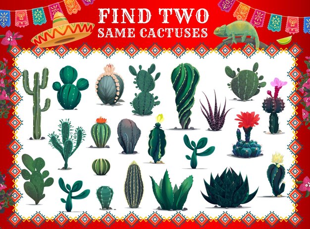 Mexican cactuses find two same succulent plants