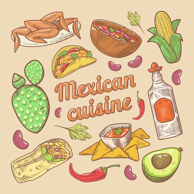 Vector mexican cuisine traditional food hand drawn doodle with tacos and nachos