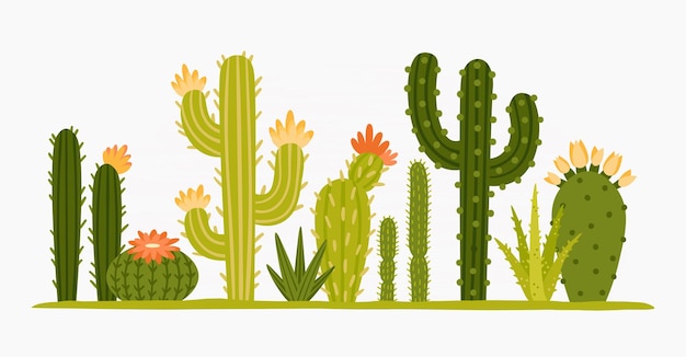 Vettore cactus del deserto messicano collezione di cartoni animati verdi flora flora