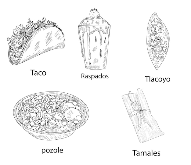 Vettore di cibi messicani. i migliori piatti messicani. illustrazione stabilita dell'alimento latinoamericano.