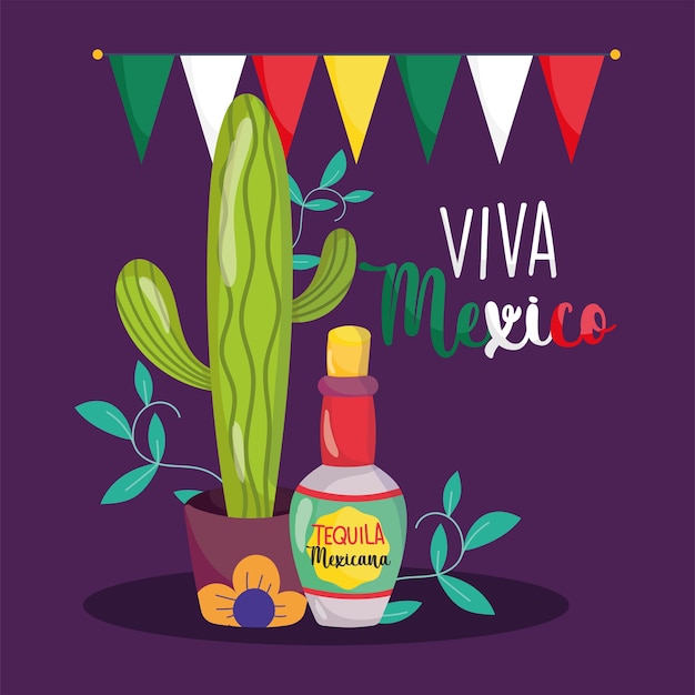 Mexican independence day, cactus tequila bottle bunting decoration, viva mexico is celebrated on september illustration