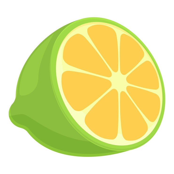 Vector mexican lime icon cartoon vector tequila lemon mexico alcohol