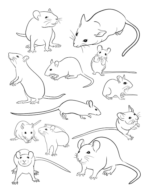 Mice line art