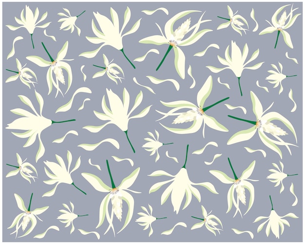 Vector michelia alba or white champaca flowers background