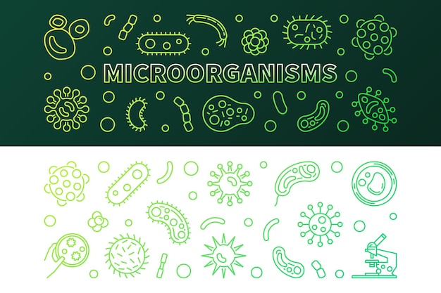 Vector micro-organismen groene lijn banners vector illustratie