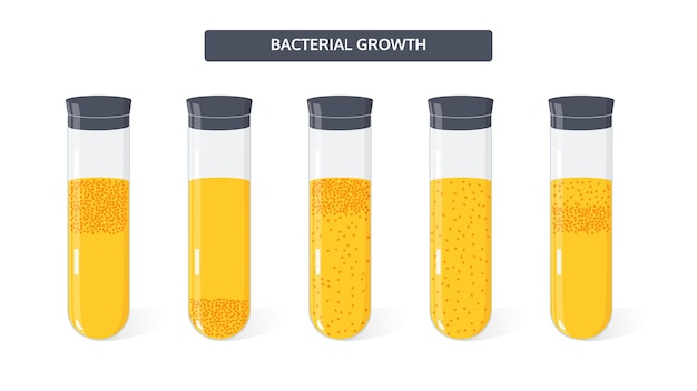 Microbiology vector concept Growth of colony of bacteria in medical test tubes