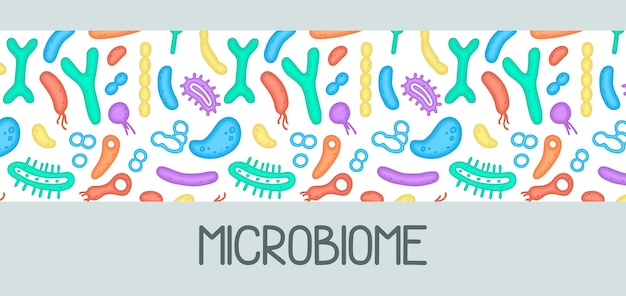 細菌のマイクロバイオーム イラスト ベクター画像 gastroenterologist bifidobacteria lactobacilli
