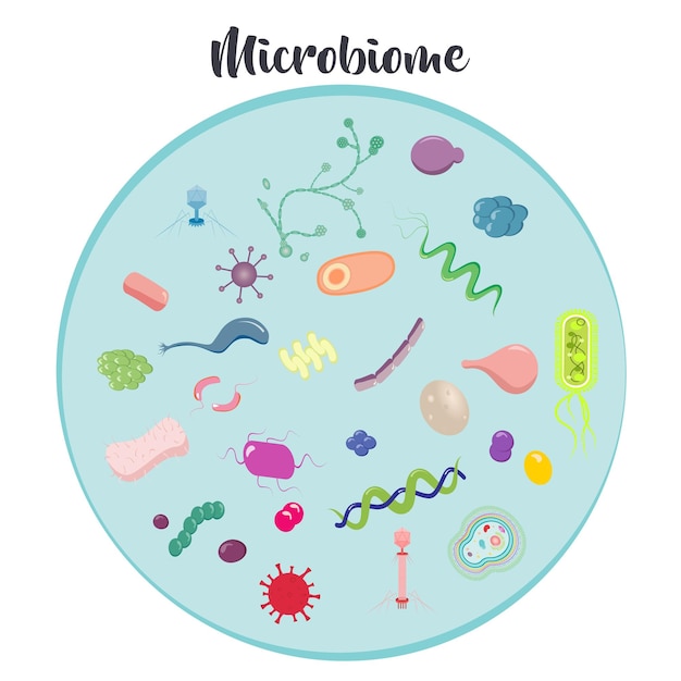 Вектор Векторная иллюстрация микробиома различных микроорганизмов