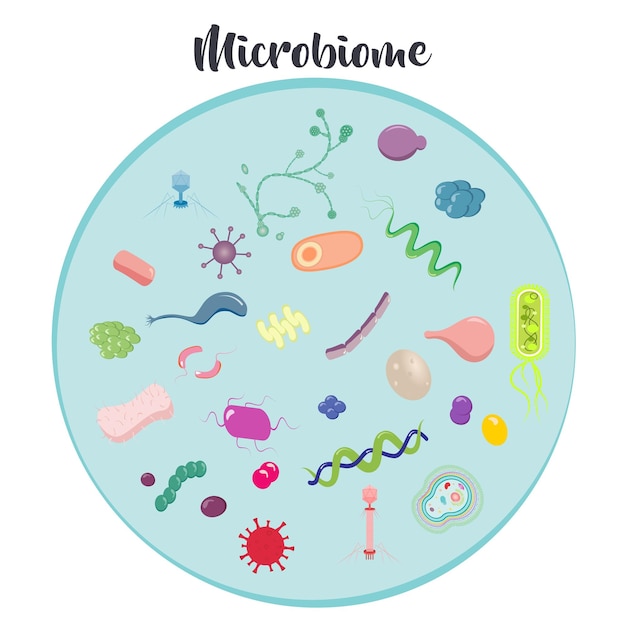 Microbioom van verschillende micro-organismen wetenschap vectorillustratie