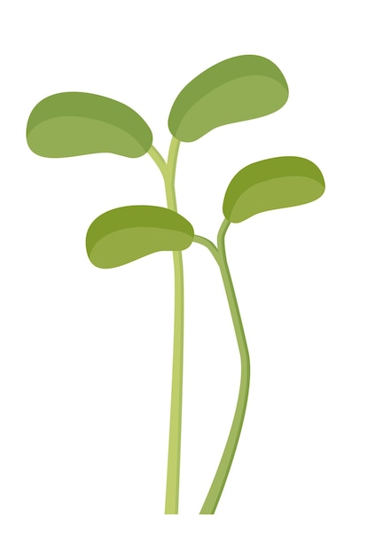 Побеги микрозелени - первые листья клевера плоская иллюстрация для логотипа и значков