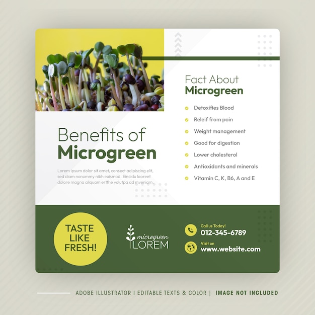 Microgreen voordeel Social Media Post Design en Microgreen plantage bedrijf banner sjabloon