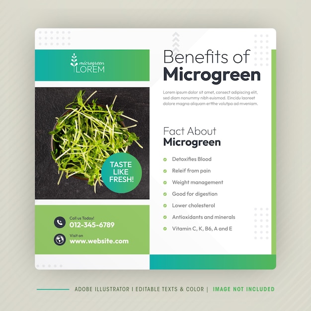 Microgreen voordeel Social Media Post Design en Microgreen plantage bedrijf banner sjabloon