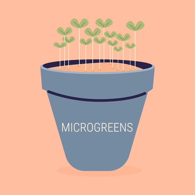 Microgreens vers biologisch ontkiemd zaad gezonde voeding concept vector vlakke illustratie